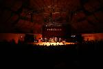 News 509 Bild